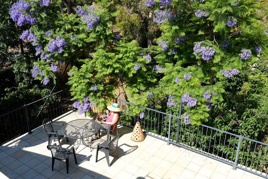 Binderee Grove B&B主图