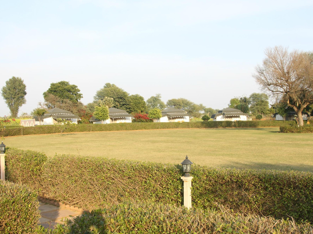 Abhaneri Village Safari Camp