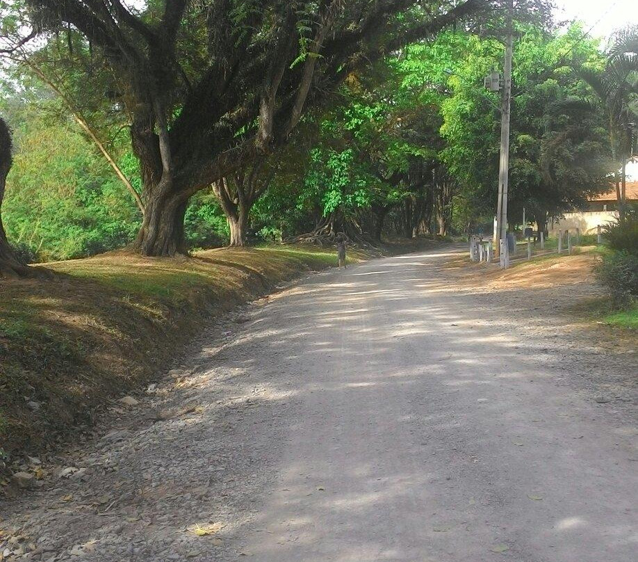 Horto Florestal De Limeira-Limeira必去景点