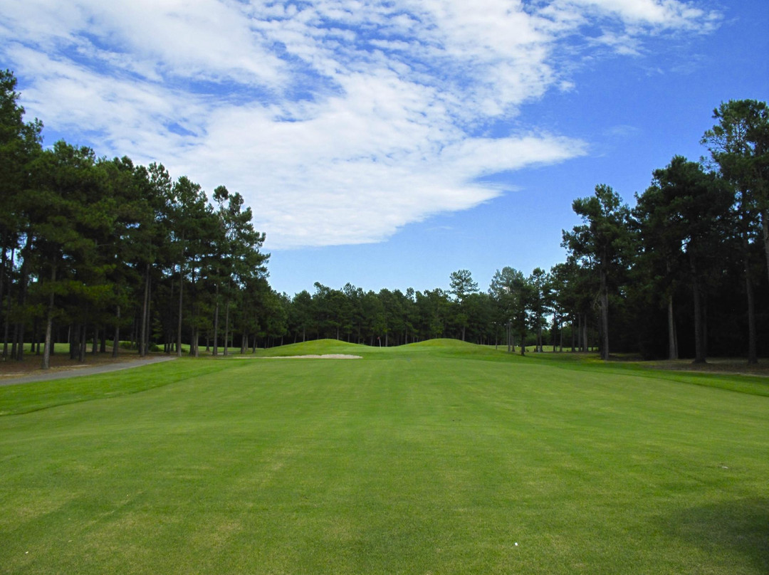 Crown Park Golf Club景点图片