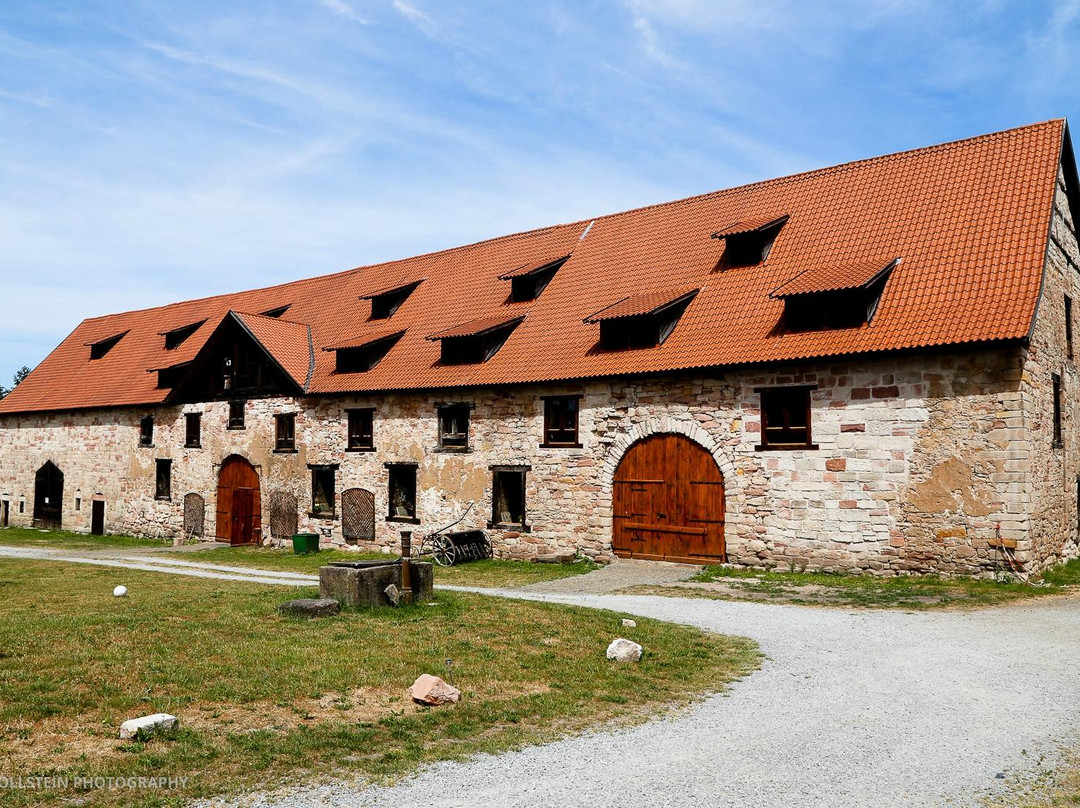 Schloss Breitungen景点图片