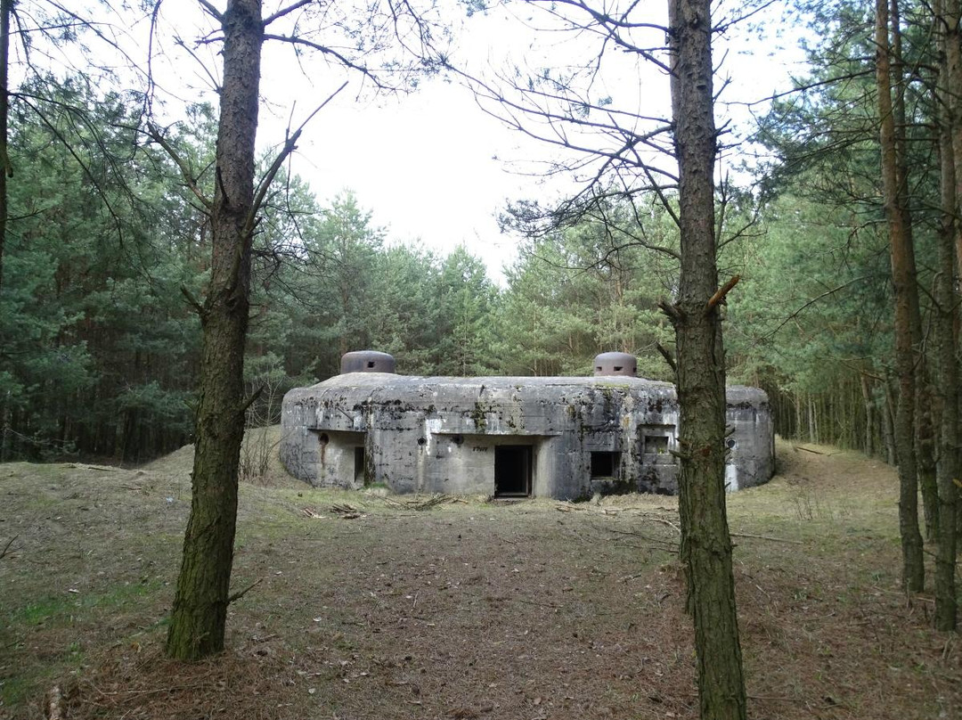 Nadnarwiański Szlak Schronów Bojowych景点图片