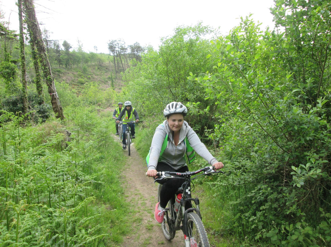 Tramore Bike Tours Day Tours-特拉莫尔必去景点