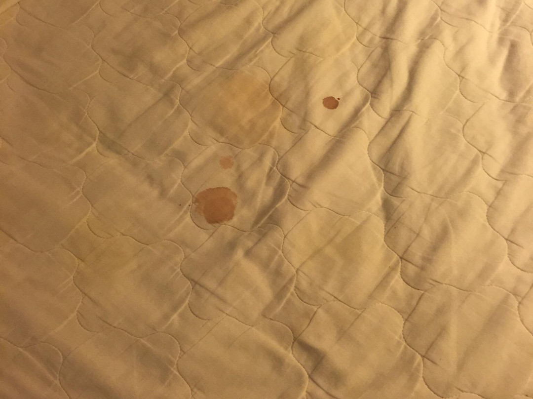 Wagon Wheel Motel主图