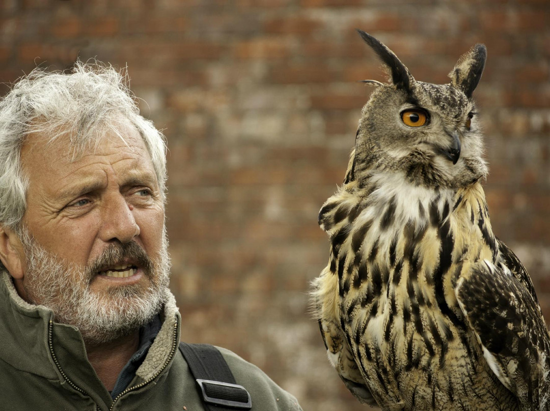 Lakeland Bird of Prey Centre景点图片