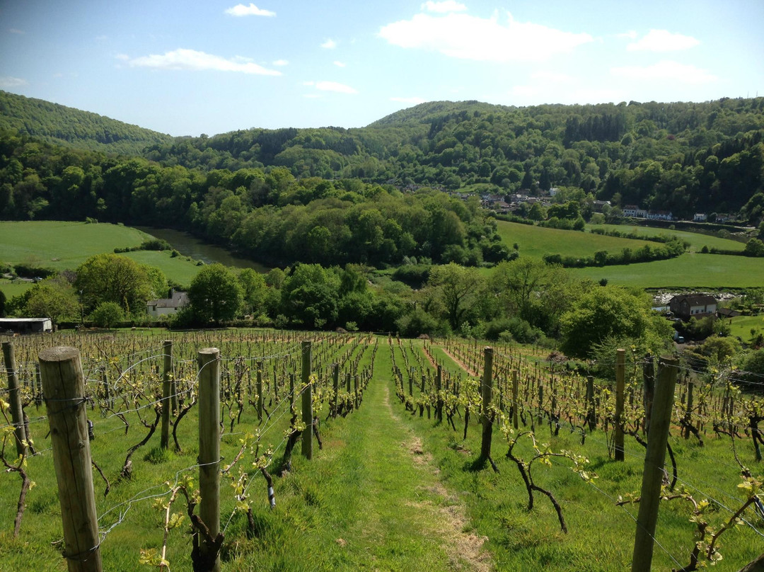 Parva Farm Vineyard景点图片