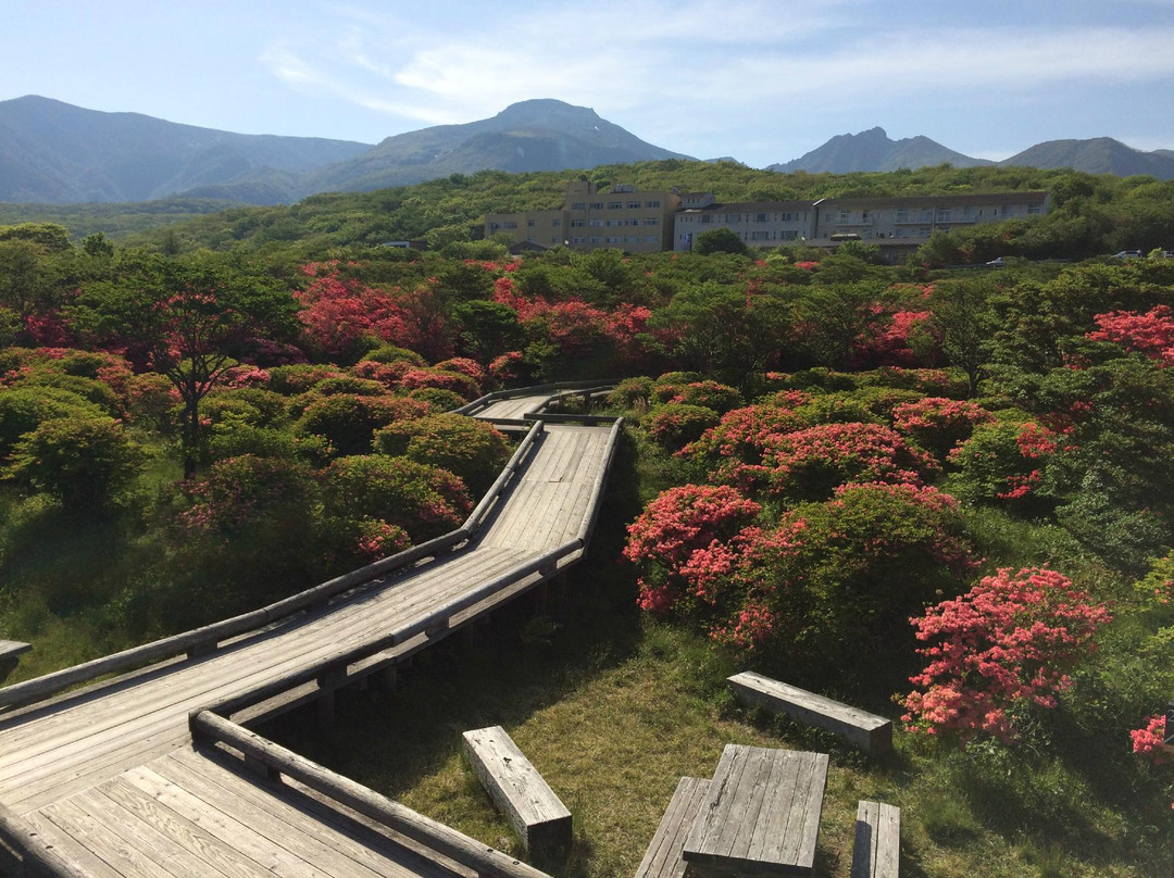 Nasu Highlands-那须町必去景点