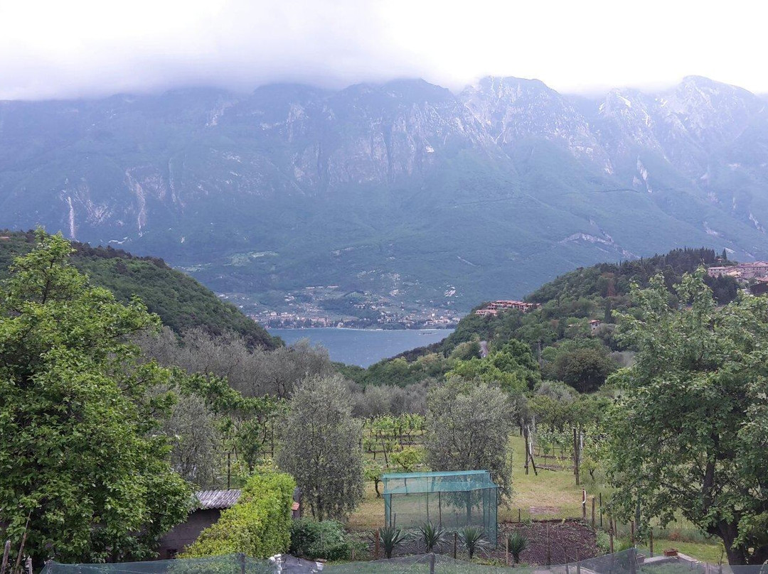 Residence Palafitte主图