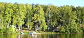 Birch Haven Resort