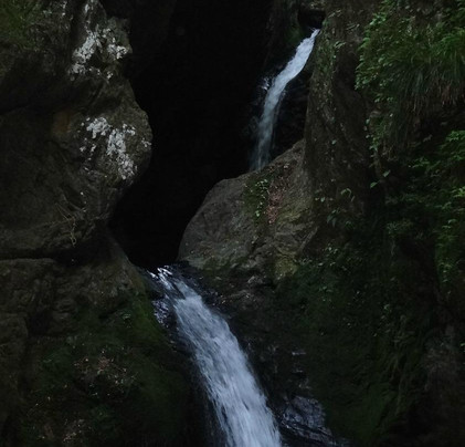 Unazawa Shitaki-奥多摩町必去景点