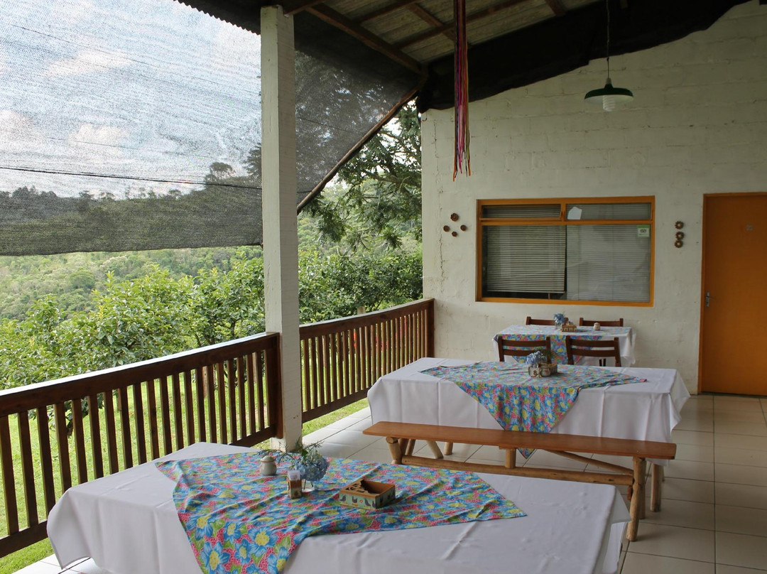 Fazenda Agua da Capoeira-圣安东尼奥杜皮尼亚尔必去景点