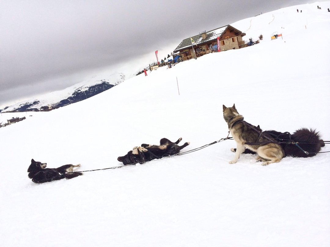 Chiens de Traîneaux-Macot-la-Plagne必去景点