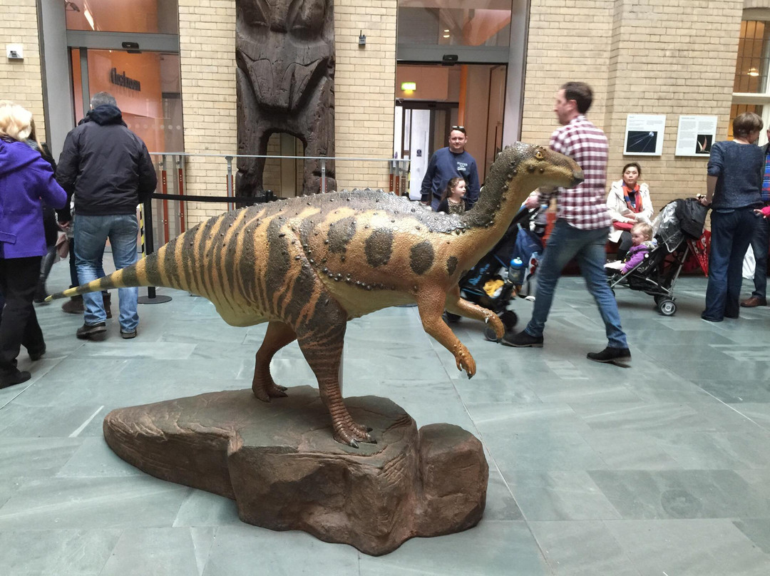 世界博物馆-利物浦必去景点