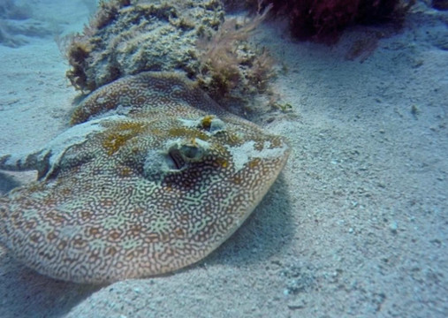 Kenavo Tropical-拉罗马纳必去景点