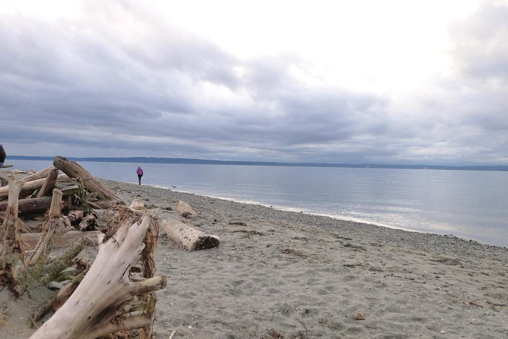 Carkeek Park-西雅图必去景点