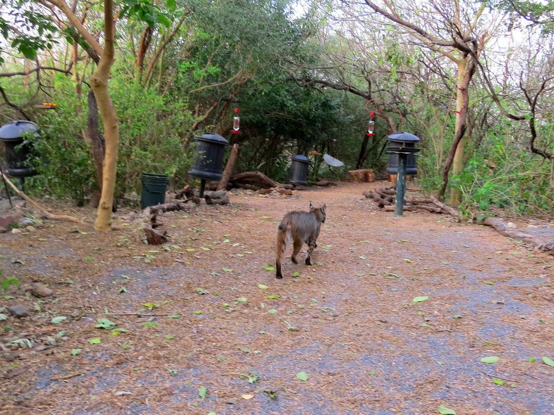 World Birding Center-Harlingen必去景点