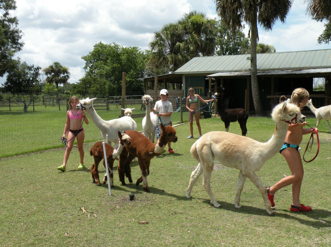 STARanch Alpaca Trek-Alva必去景点