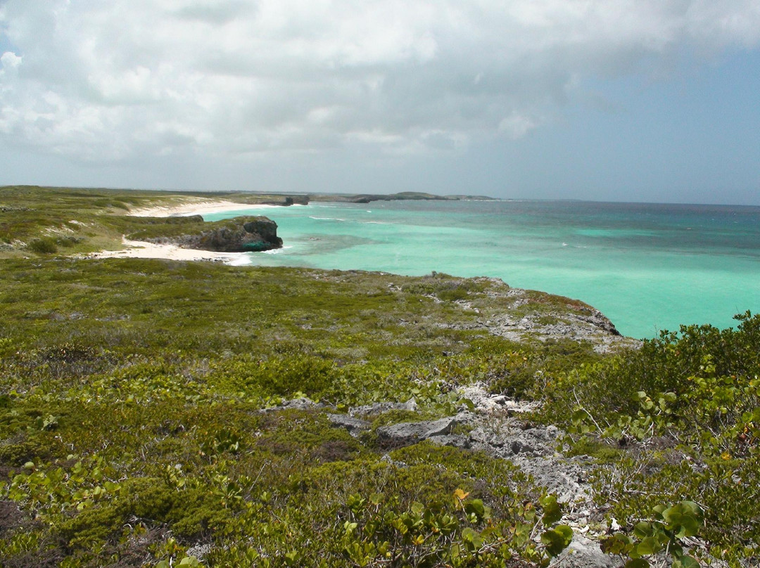 Crossing Place Trail-Conch Bar必去景点