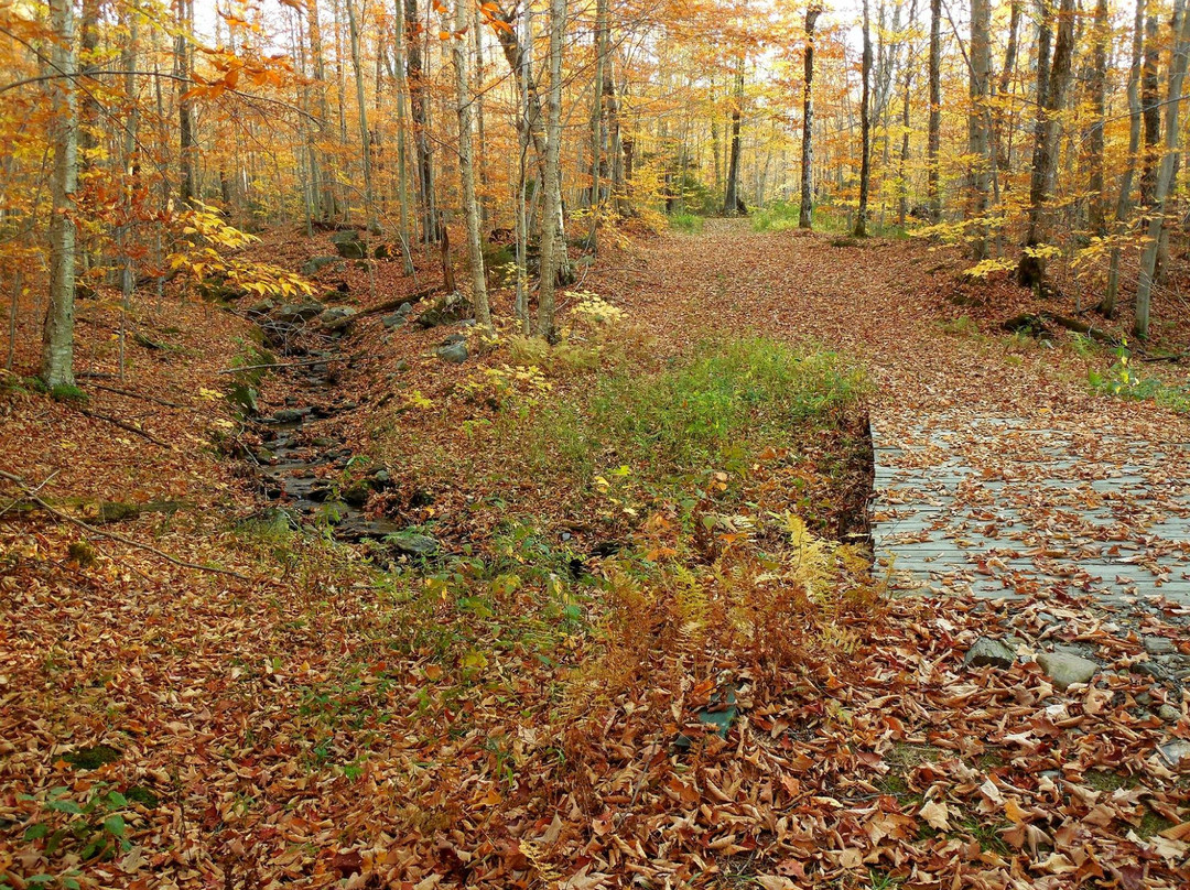 Hazen's Notch-Montgomery必去景点