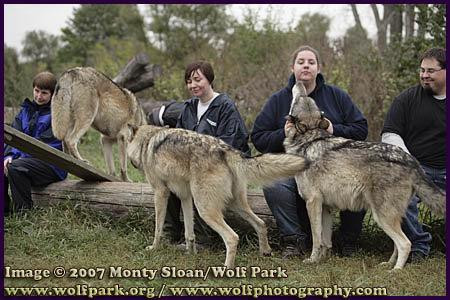 Wolf Park-Battle Ground必去景点