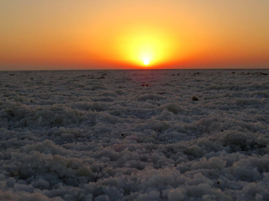Great Rann of Kutch景点图片