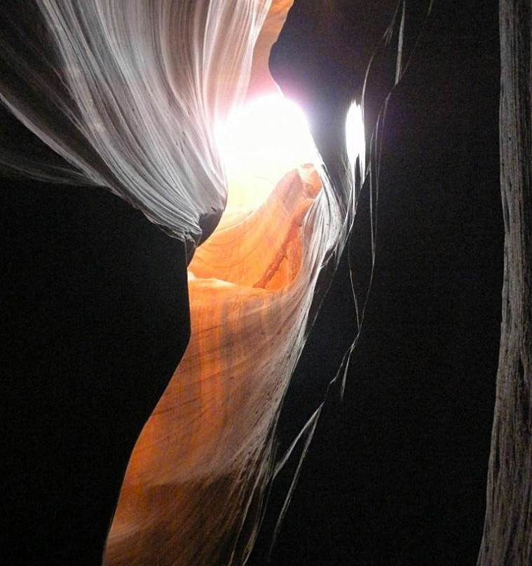 Carolene Ekis-佩吉必去景点