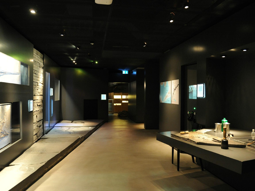 Naturmuseum Winterthur-温特图尔必去景点