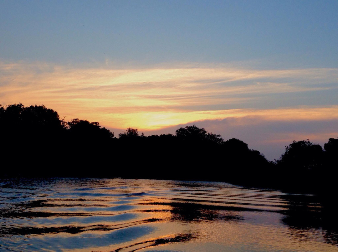 圣卢西亚湿地公园-圣露西亚必去景点
