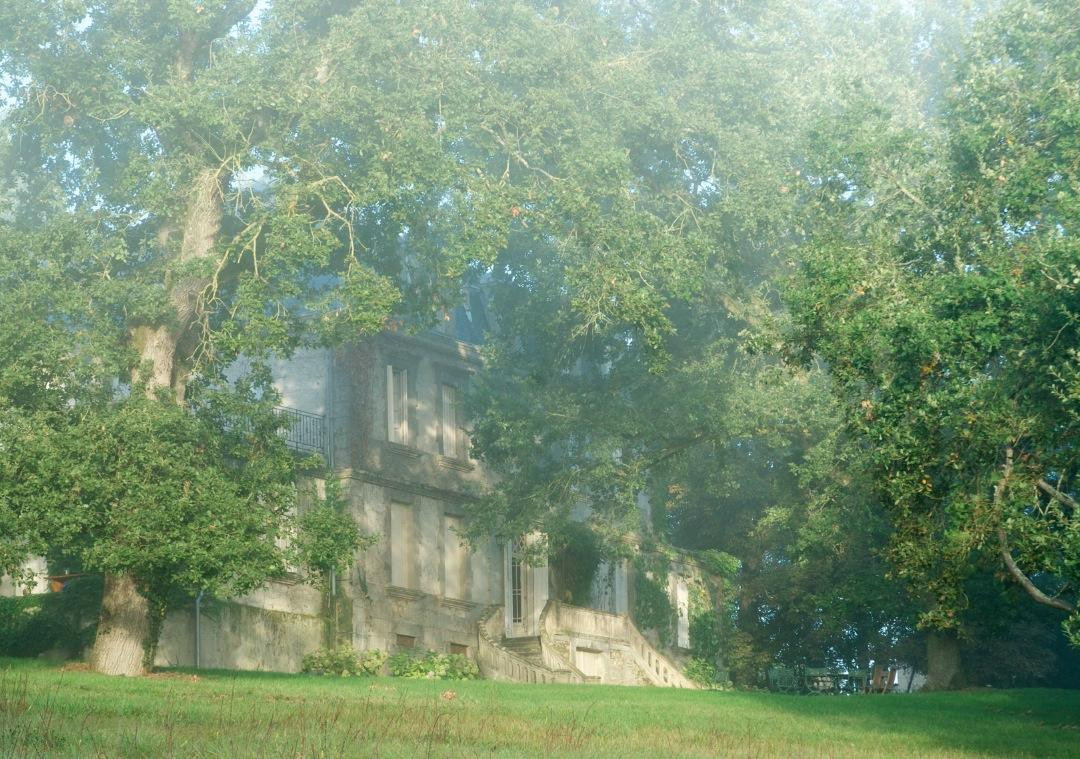 Château de Dournes主图