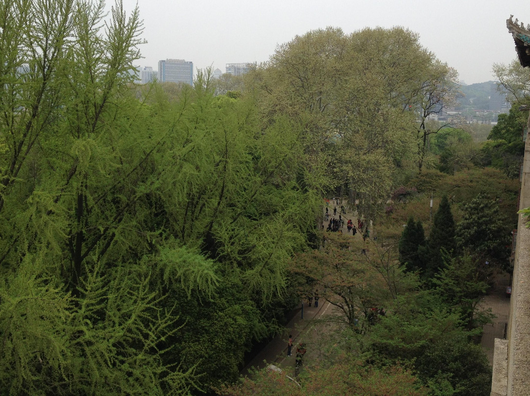 武汉大学-武汉市必去景点