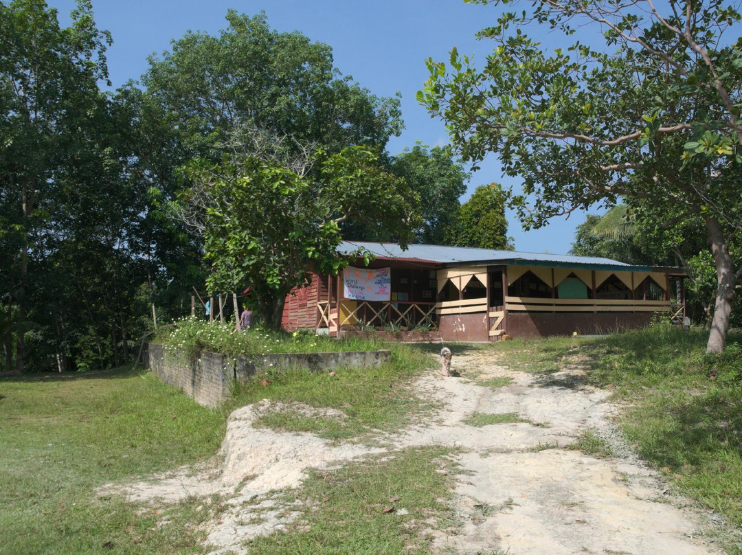 Tasik Chini景点图片
