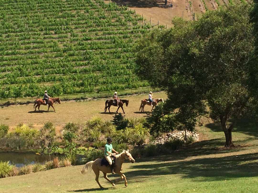 Slickers Horse Riding景点图片
