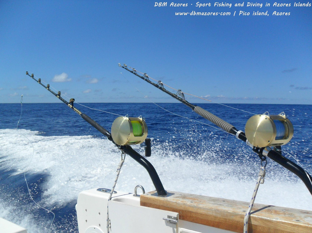 DBM Azores - Sport Fishing Charters-Sao Roque do Pico必去景点