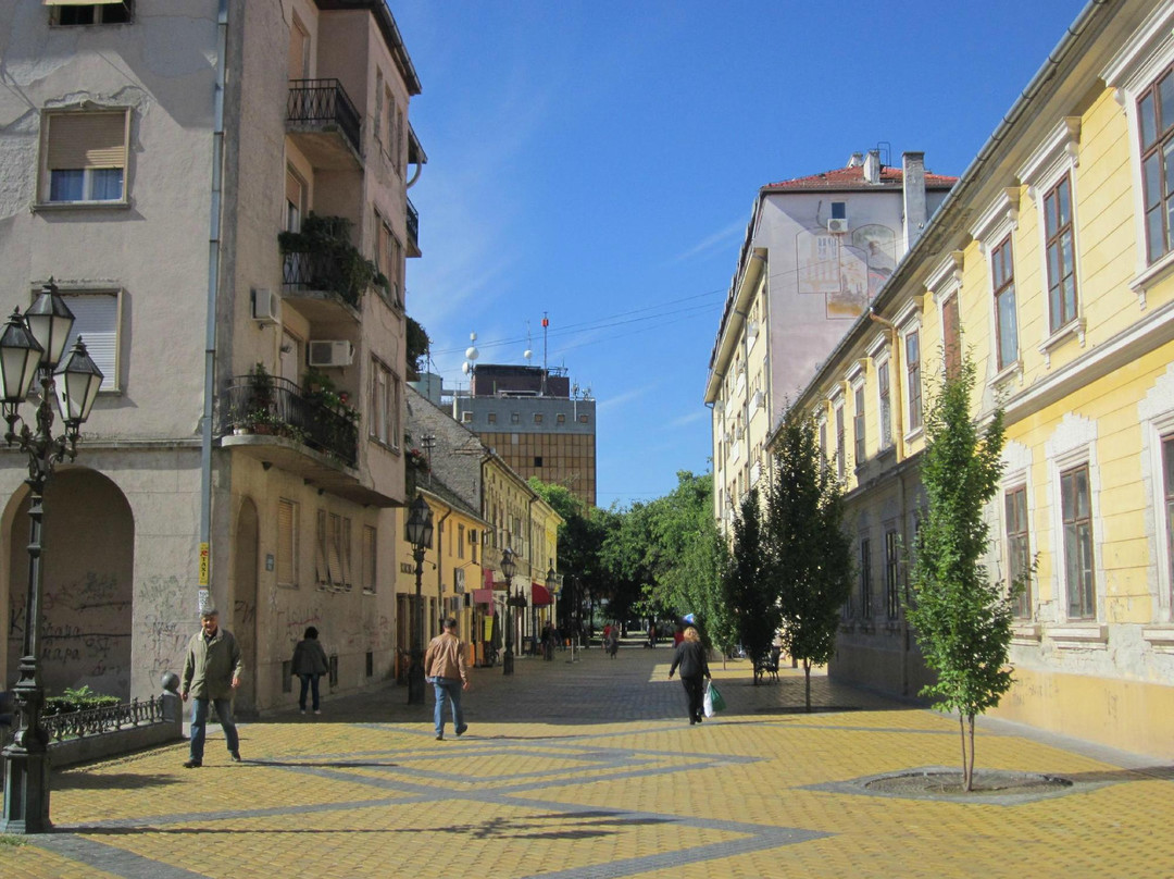 Zmaj Jovina Street景点图片