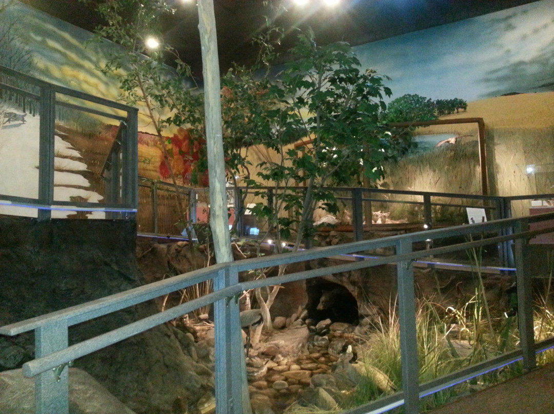 Stearns History Museum-Saint Cloud必去景点