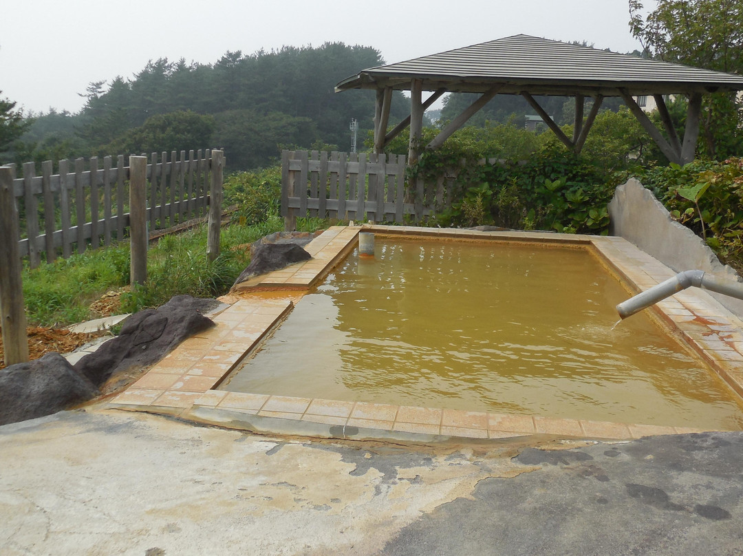 Michinoku Onsen Ryokan主图