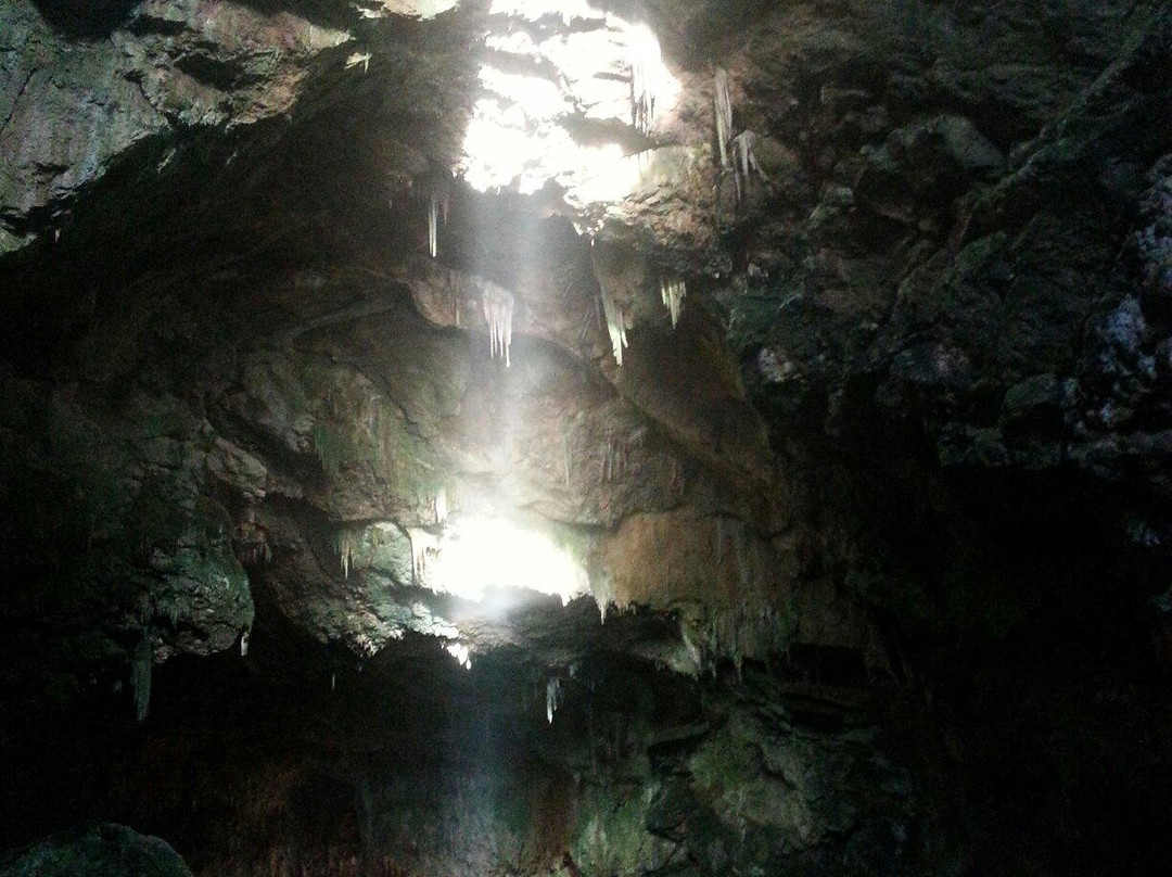 Avenc de Son Pou景点图片