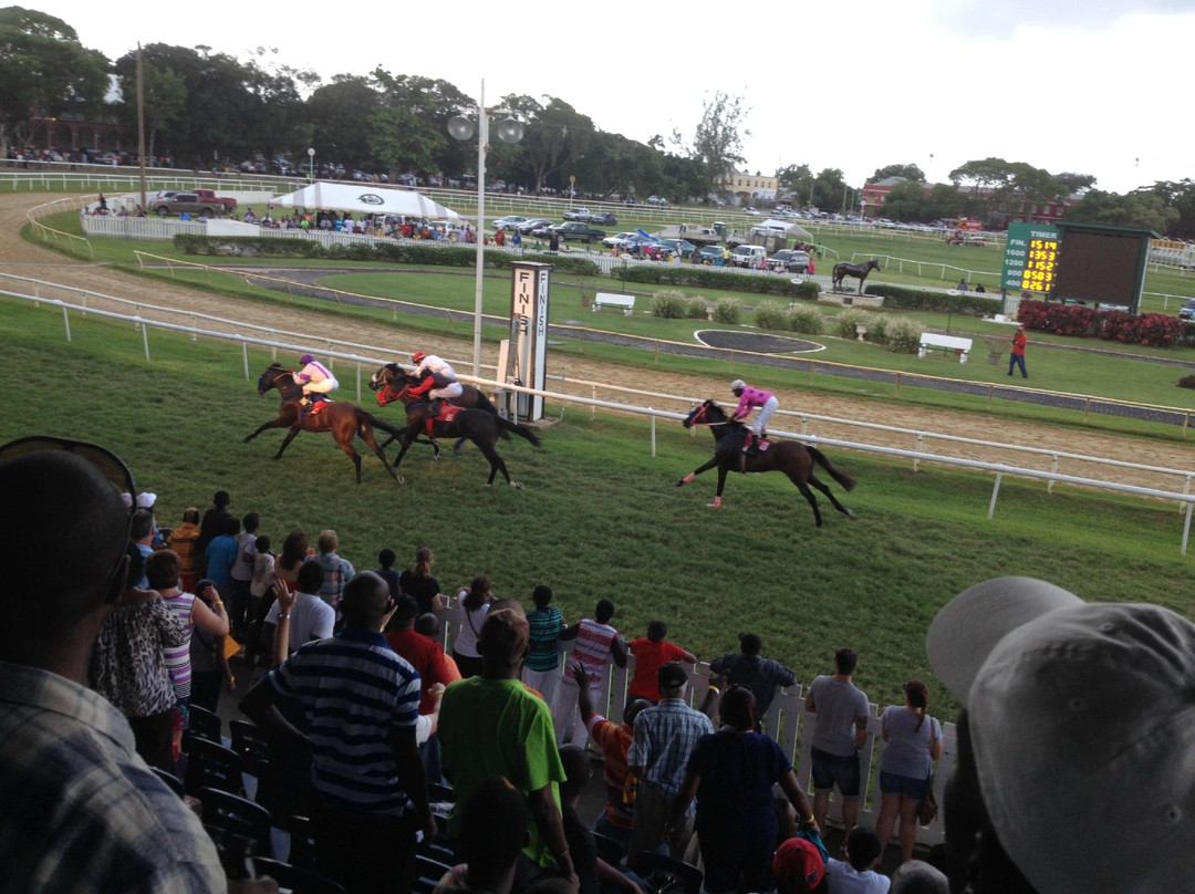 Barbados Turf Club-布里奇顿必去景点