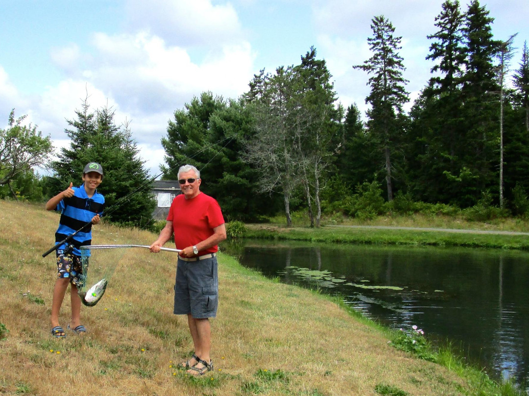 Old Miller Trout Farm-Margaree Forks必去景点