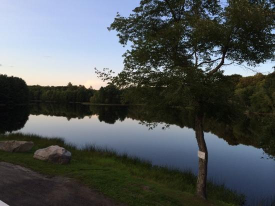 Foster餐馆和美食-Pizza King