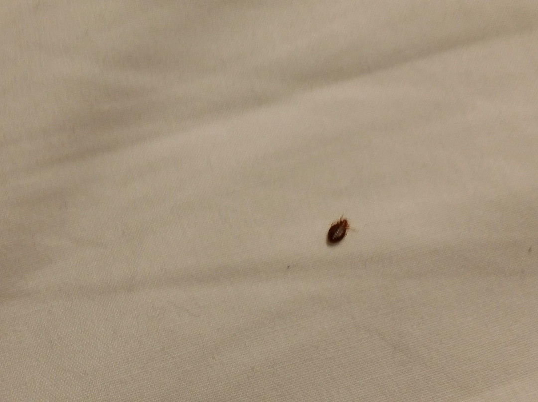 拉弗顿俱乐部酒店主图