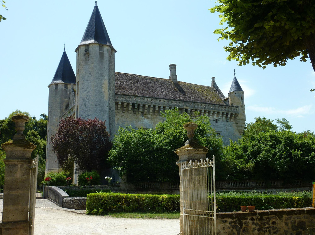 Chateau du Grand Puch景点图片