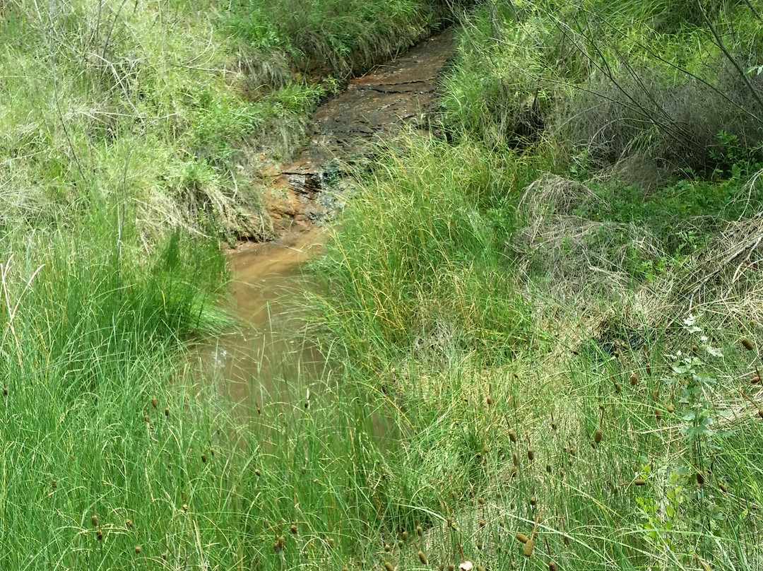 左记沟-盐池县必去景点
