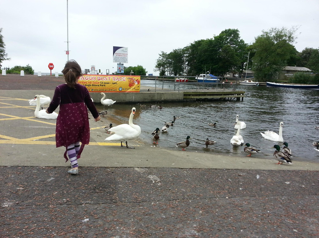 Antrim Lough Shore Park景点图片