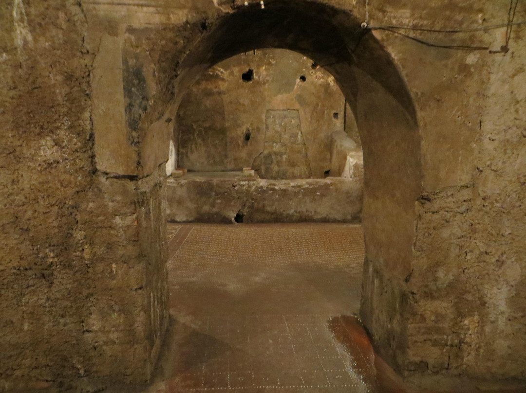 Domus Di Confuleius Detta Bottega Del Tintore景点图片