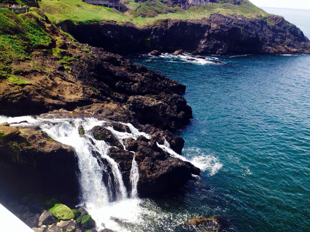 Otter Crest Loop-Depoe Bay必去景点