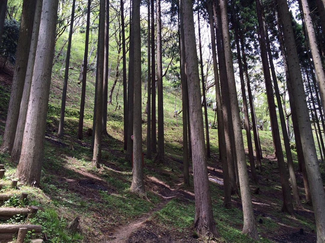 Shizushi Cave-京丹波町必去景点