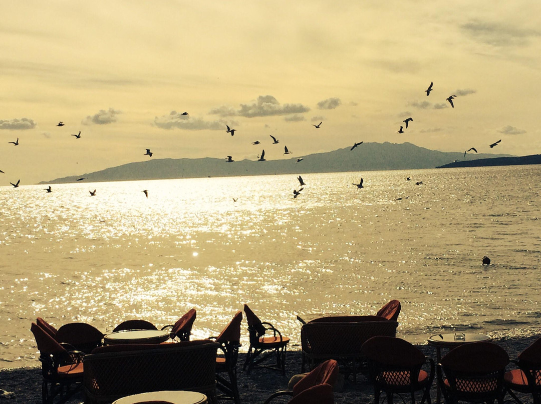 Mitto Sports Beer Cafe