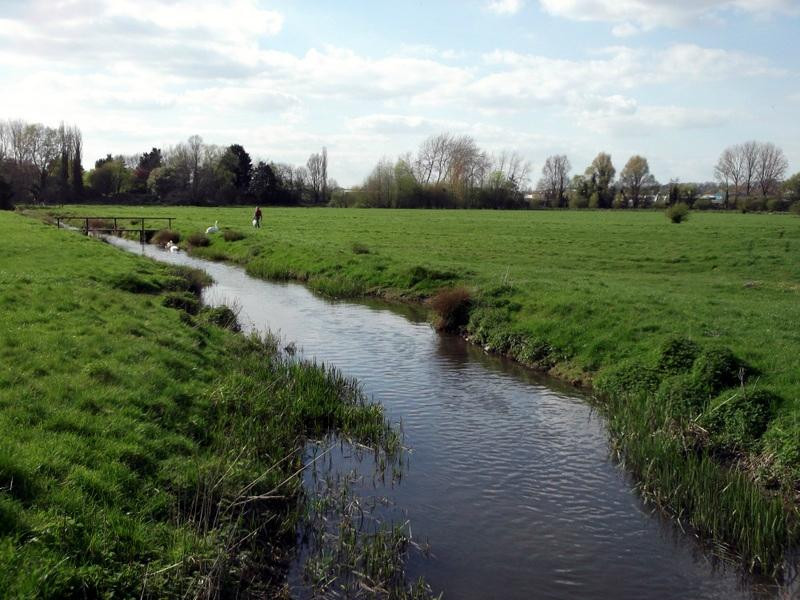 Harnham Water Meadows景点图片
