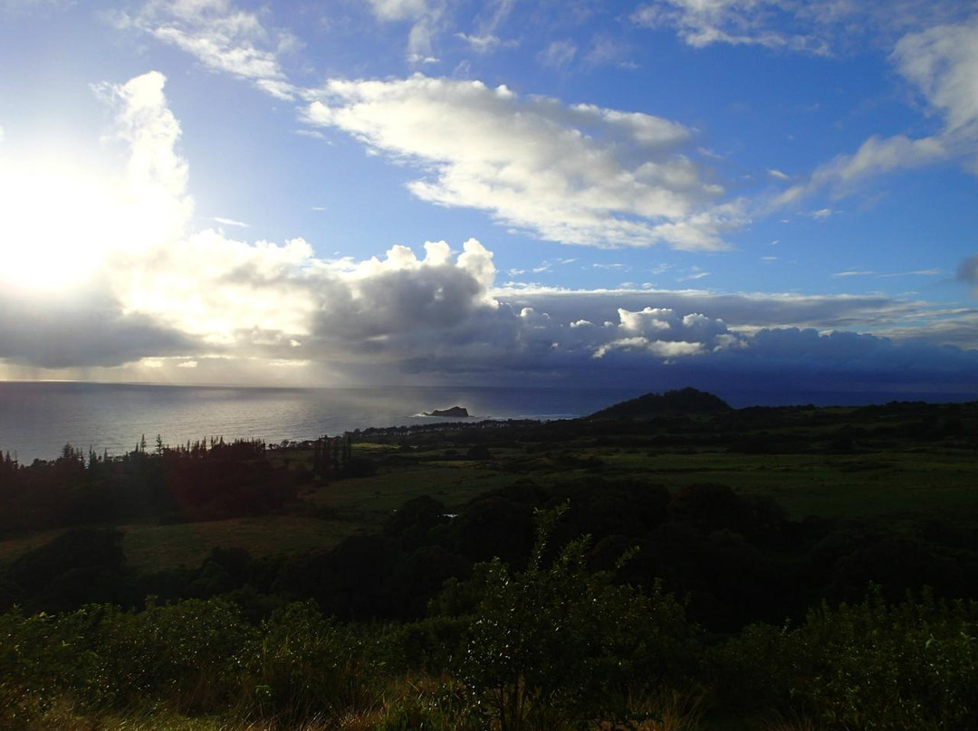 Fagan's Cross-哈纳必去景点